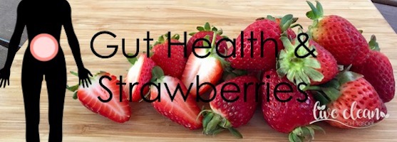 Gut health & strawberries